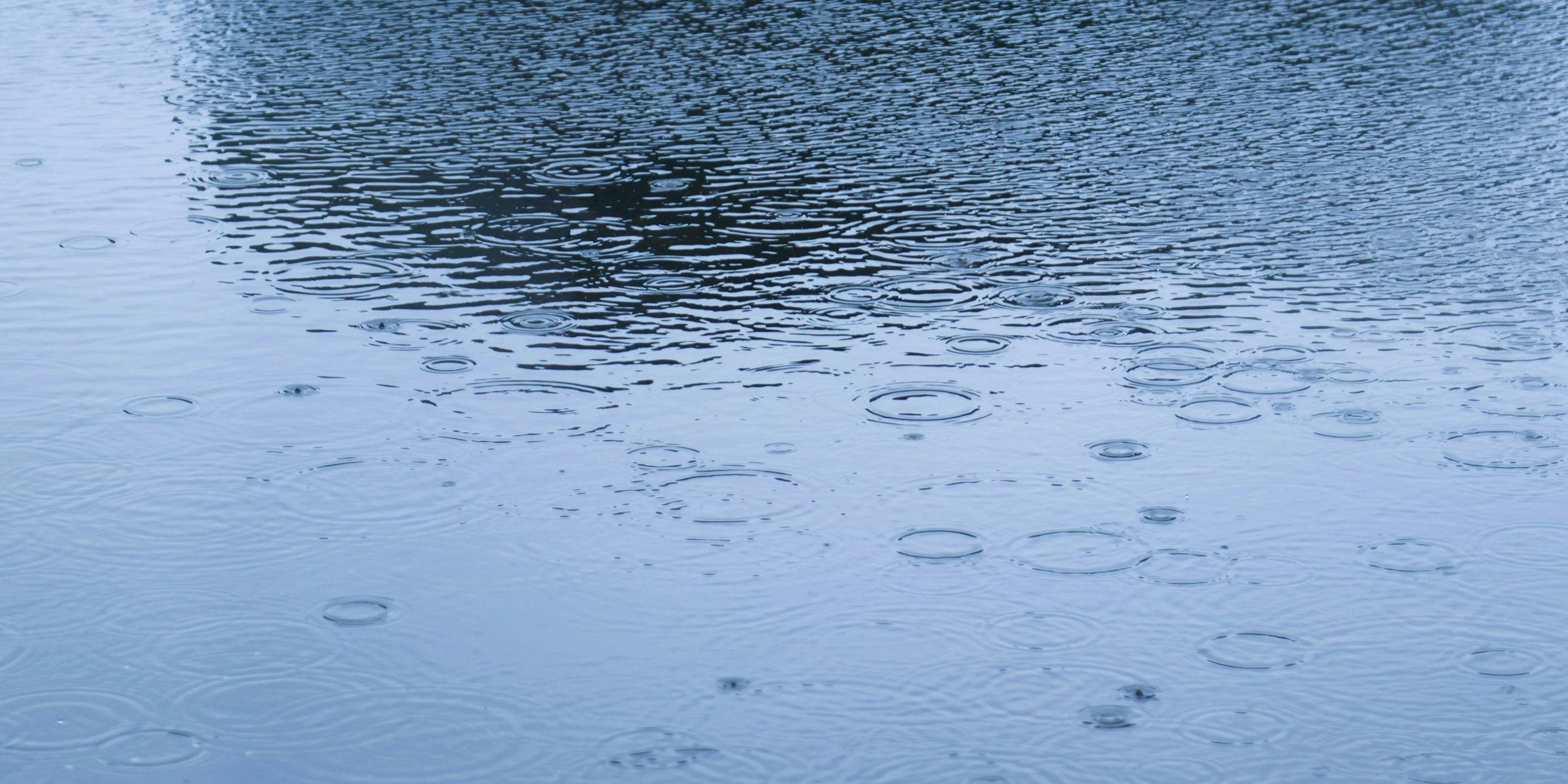 Regentropfen fallen auf eine stille Wasserfläche, viele Ringe überlagern sich