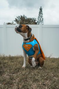 ADHS Superpowers: Die verborgenen Stärken von ADHS nutzen