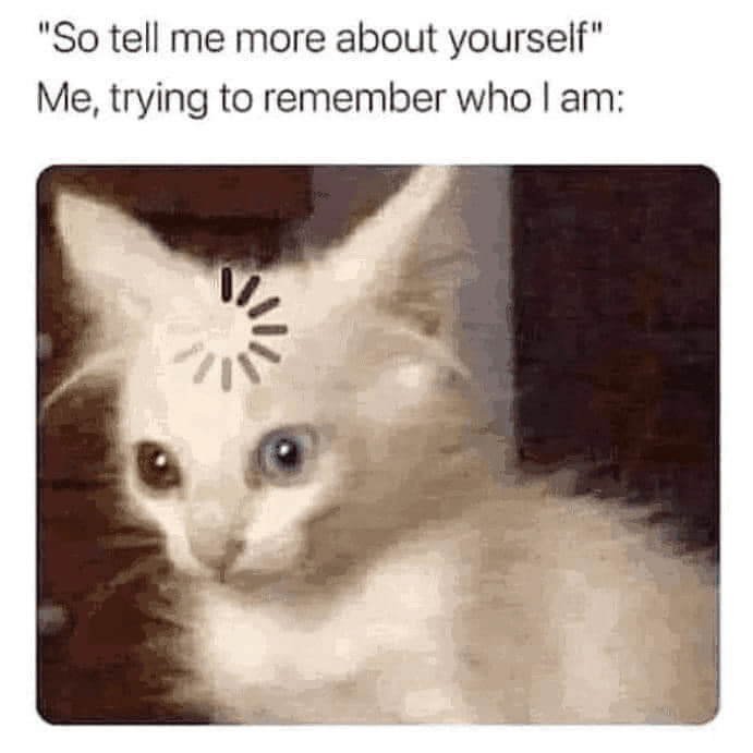 ADHS-Meme mit einer Katze, der ein Ladesymbol auf der Stirn eingeblendet ist: «Erzähl mir etwas über dich» – und man versucht sich zu erinnern, wer man eigentlich ist.