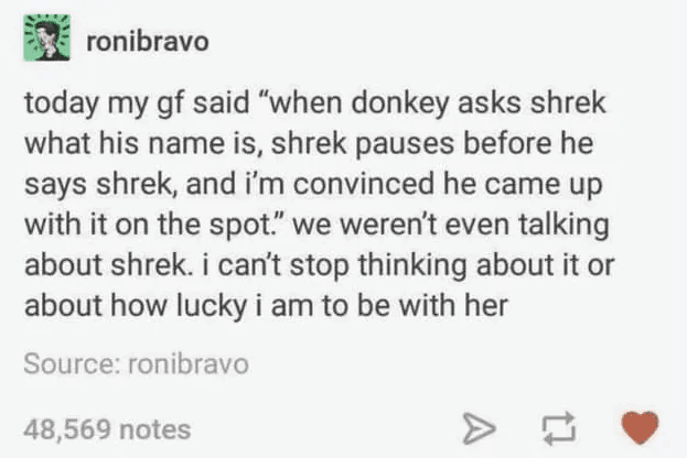 ADHS-Meme, Tumblr-Beitrag: Jemand kommt seit Tagen nicht von der Beobachtung los, dass Shrek vor seinem eigenen Namen zögert – obwohl es im Gespräch um etwas ganz anderes ging.