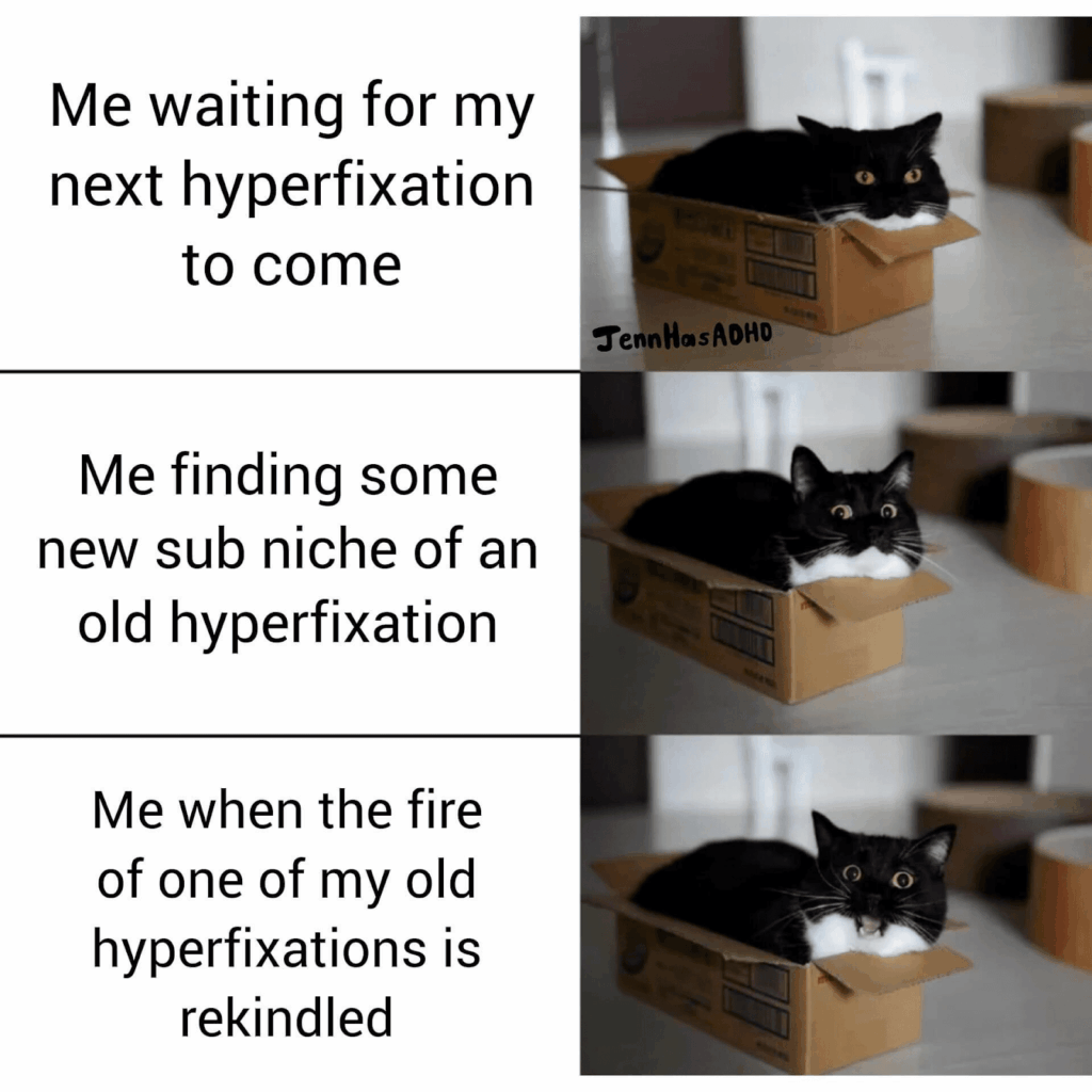 ADHS-Meme mit einer Katze in einer Kiste, drei Stufen: warten auf die nächste Hyperfixation, eine neue Nische einer alten entdecken, und wenn eine alte Hyperfixation wieder aufflammt.